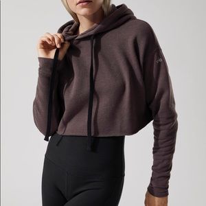 Alo Cropped Hoodie Sweatshirt